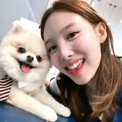 陈子宸